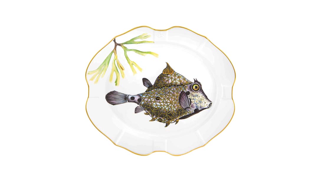Travessa Pequena Peixe Cofre Colmeia image number null