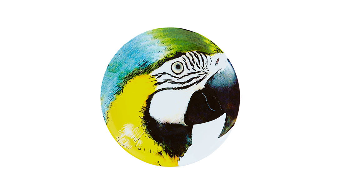 Charger Plate Yellow Bellied Macaw image number null
