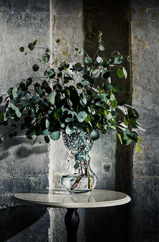 Large Vase image number null