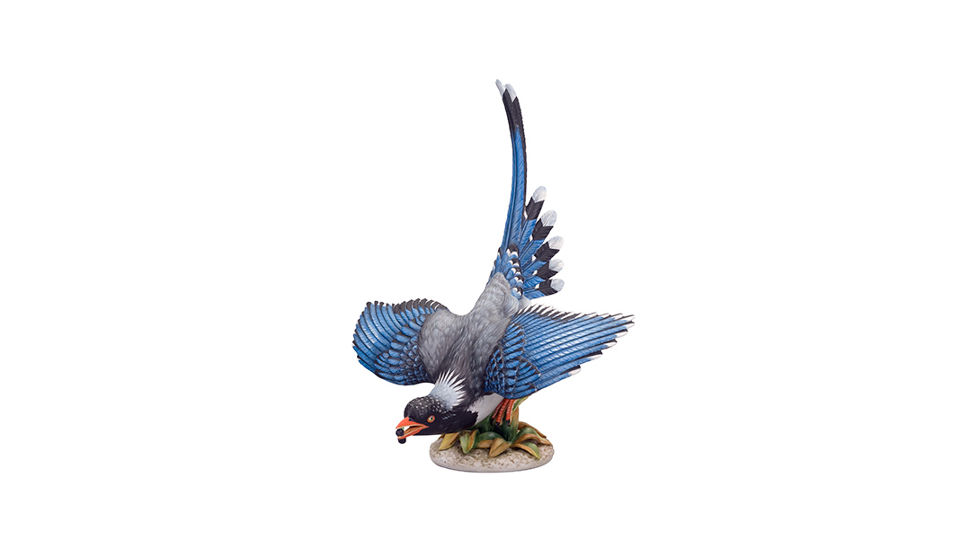 P&aacute;jaro Azul image number null