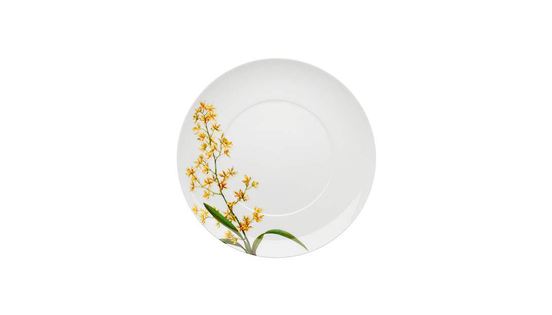 Dinner Plate image number null
