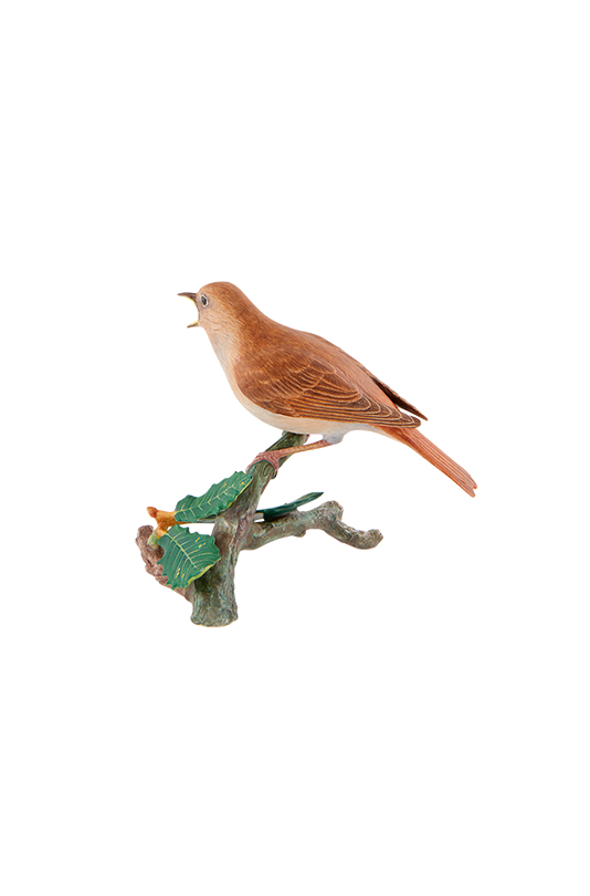 Nightingale image number null