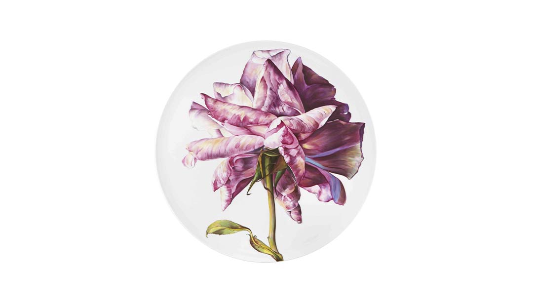 Plato Rosa image number null