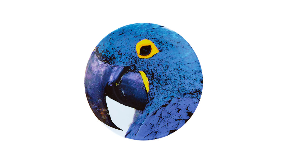 Charger Plate Blue Macaw image number null