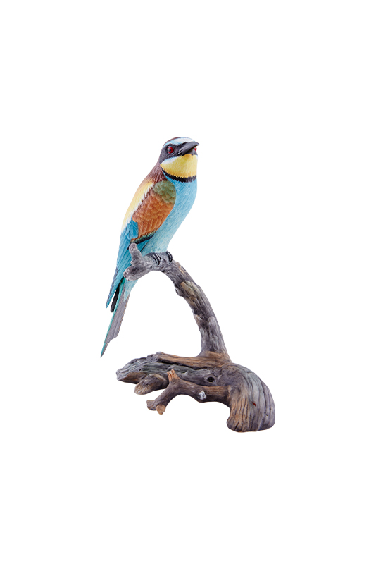 Bee-Eater image number null