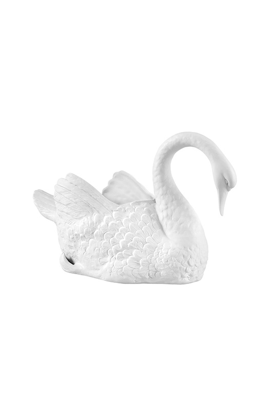 Cisne Grande image number null