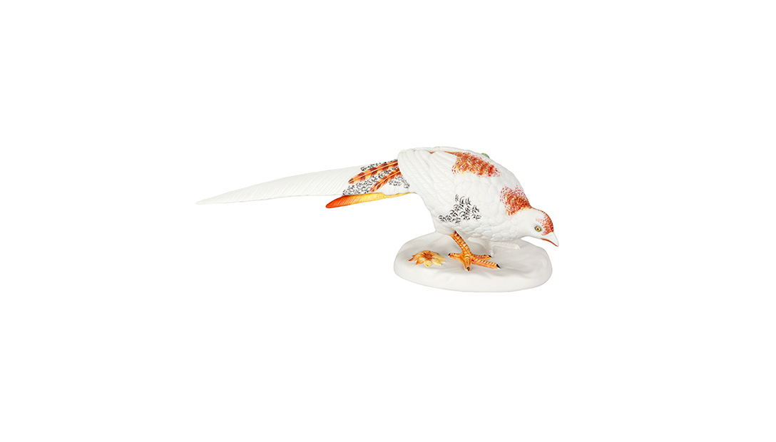 Pheasant Female Orange image number null