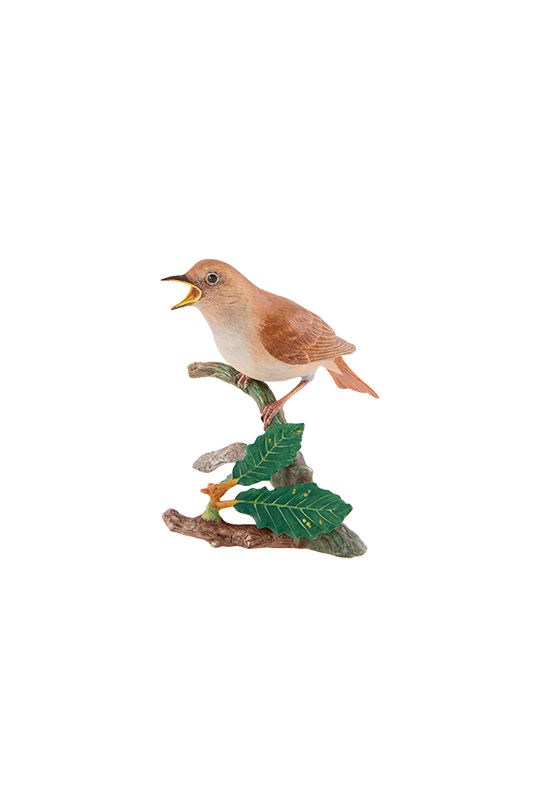 Nightingale image number null