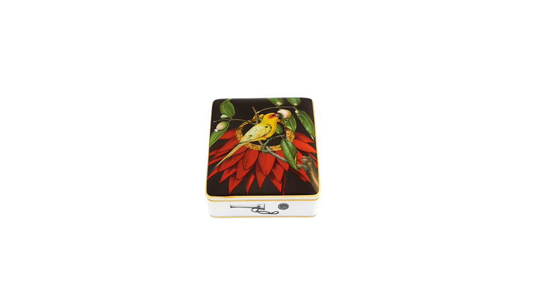 Card Box Cocar image number null