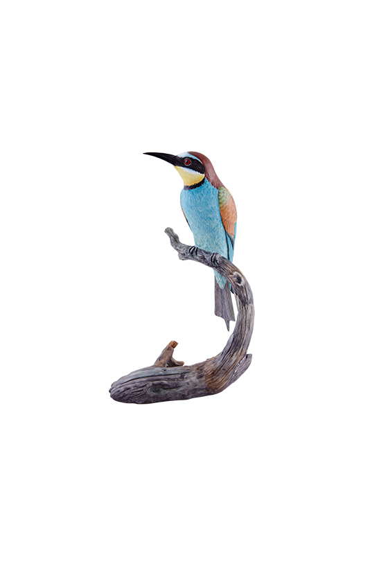 Bee-Eater image number null
