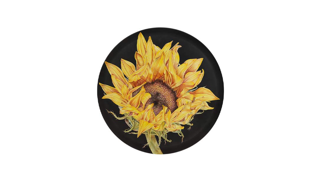 Plate Sunflower image number null