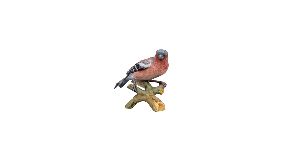Finch image number null
