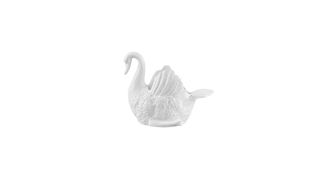 Cisne M&eacute;dio image number null