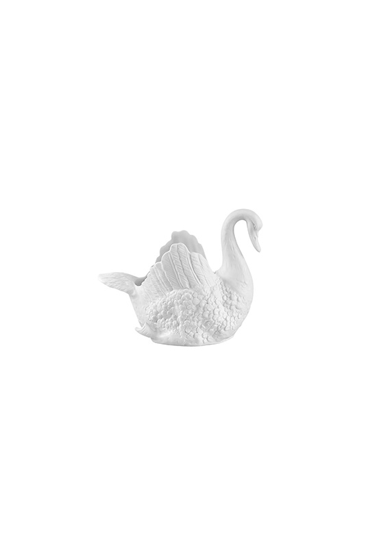 Cisne M&eacute;dio image number null