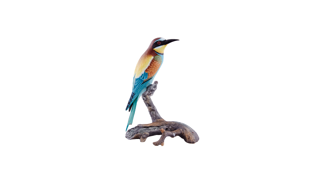 Bee-Eater image number null
