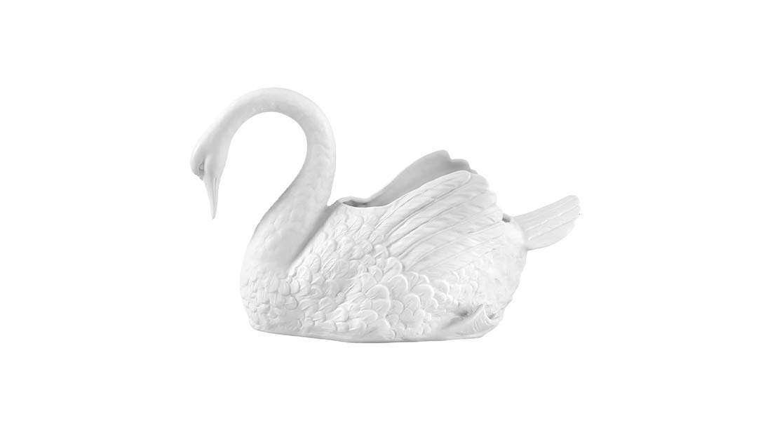 Cisne Grande image number null