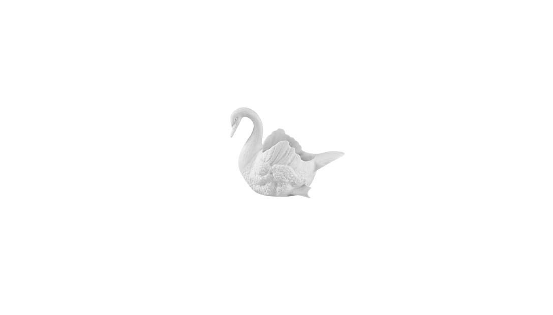 Cisne Peque&ntilde;o image number null