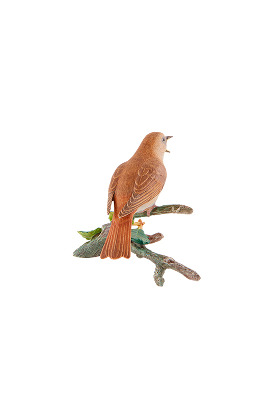 Nightingale image number null
