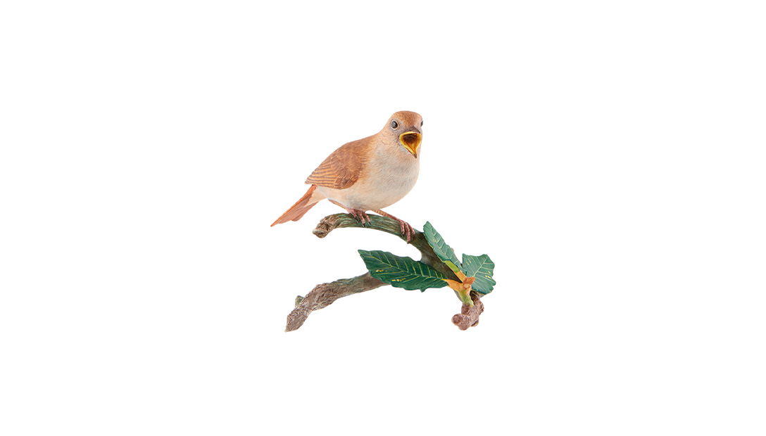 Nightingale image number null