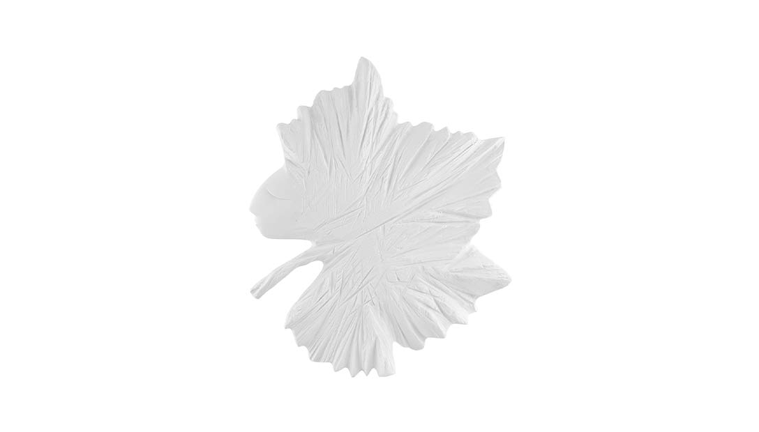 Grape leaf image number null